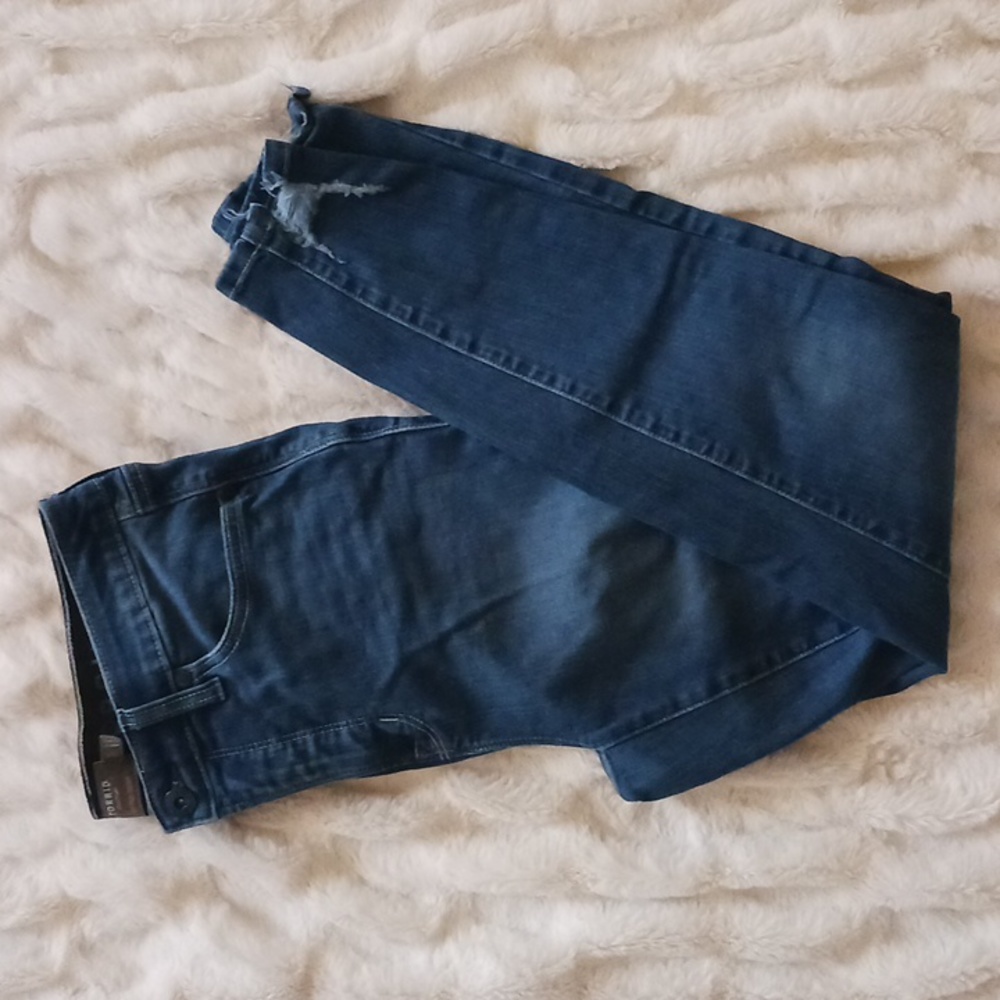 torrid Dark Blue High Rise Women's Jeans